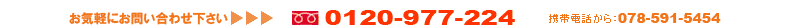 ���C�y�ɂ��₢���킹���������B�t���[�_�C���� : 0120-977-224�@�g�ѓd�b����:078-591-5454