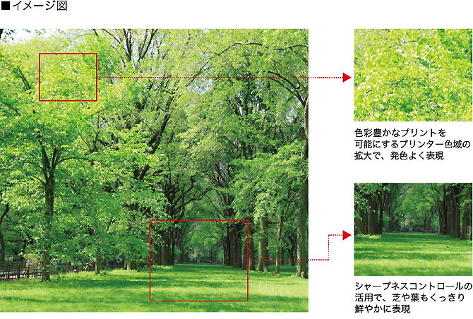 高画質カラープリンティング